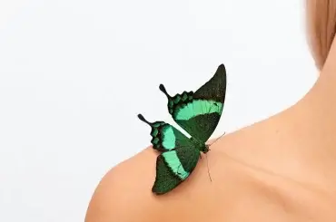 Significado da tatuagem de borboleta